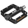 Blank Generation V2 BMX Pedals