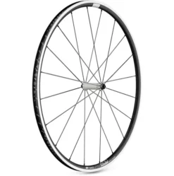 Dt-swiss DT Swiss PR 1600 Straight Pull Front Wheel (23mm)